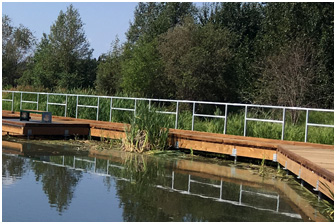 Elk Island Boardwalk Replacement 